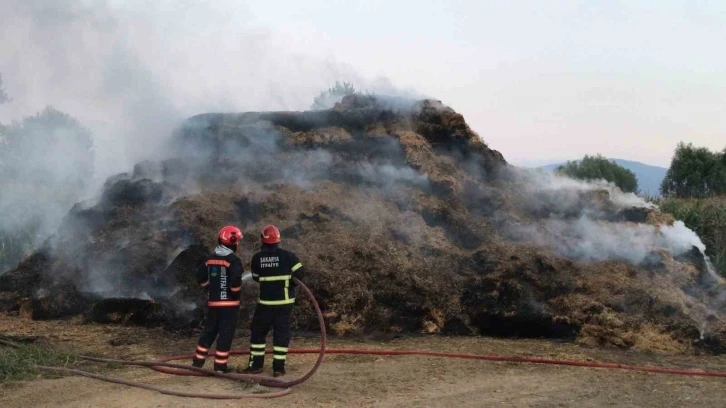 Çocukların kibritle oyunu yangına sebep oldu: 990 balya saman kül oldu
