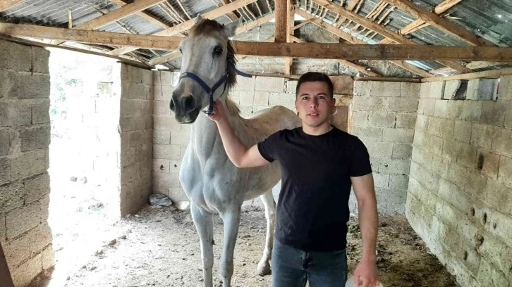 Çocukluk hayali olan yarış atını aldı ona şiirler yazıp okuyor
