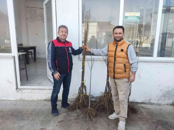 Coğrafi işaretli kestane balına lezzet katacak
