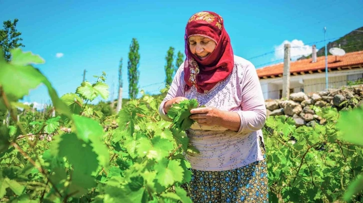 Coğrafi işaretli lezzet 400 milyon liralık girdi sağlayacak
