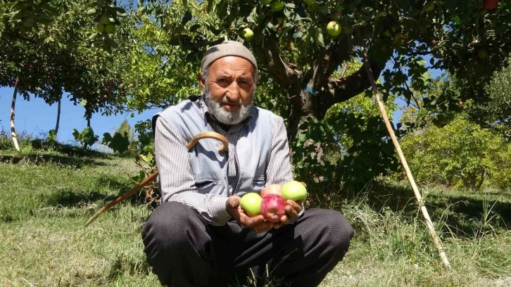 Çorak araziyi bahçeye dönüştürdü: Aynı ağaçta iki tür elma yetişti
