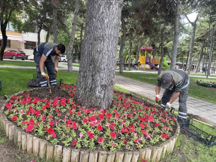 Çorum 200 bin rengarenk çiçeklerle donatılıyor
