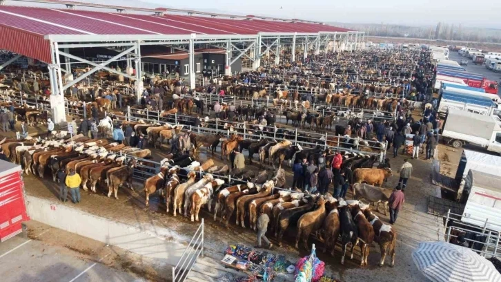 Çorum’da hayvan pazarı geçici olarak kapatıldı
