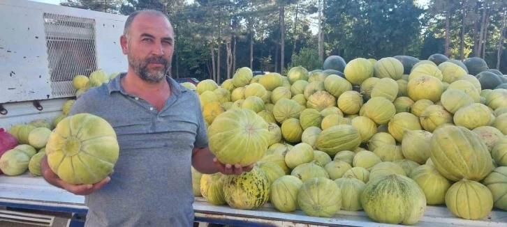 Çorum’un meşhur ’10 dilim kavunu’ tezgahlarda yerini aldı
