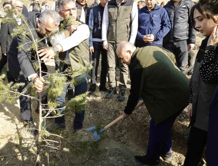 Çorum Valisi Dağlı, “20 yılda 94 milyon fidanı toprakla buluşturduk”
