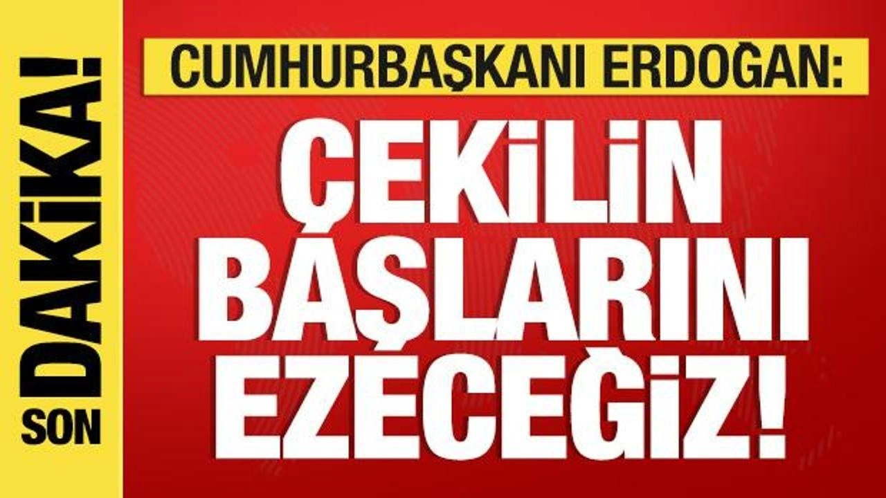 Cumhurbaşkanı Erdoğan: Çekilin başlarını ezeceğiz!