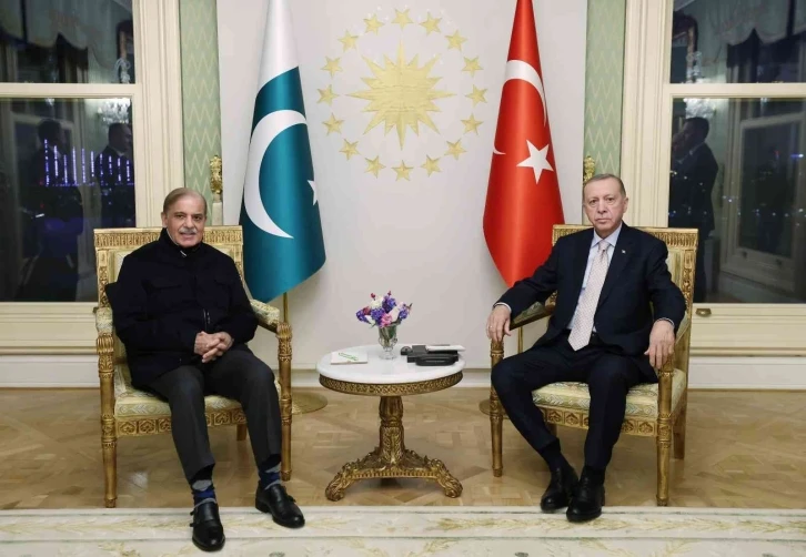 Cumhurbaşkanı Erdoğan, Pakistan Başbakanı Şerif ile görüşme gerçekleştirdi
