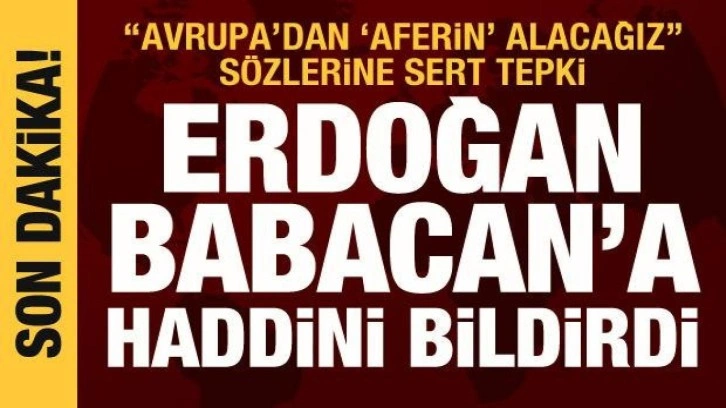 Cumhurbaşkanı Erdoğan'dan Ali Babacan'a tepki