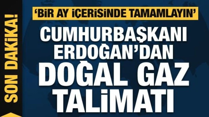 Cumhurbaşkanı Erdoğan’dan doğal gaz talimatı: 1 ay içinde tamamlayın