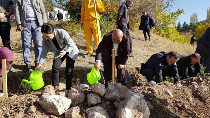 Cumhuriyet’in 100’üncü yılında 100 fidan toprakla buluştu
