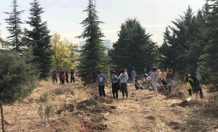 Cumhuriyet’in 100. yılında 100 bin fidan etkinliği
