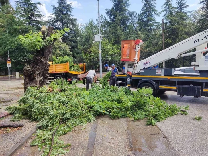 Çürük ağaç kırılarak, seyir halindeki otomobilin üzerine düştü
