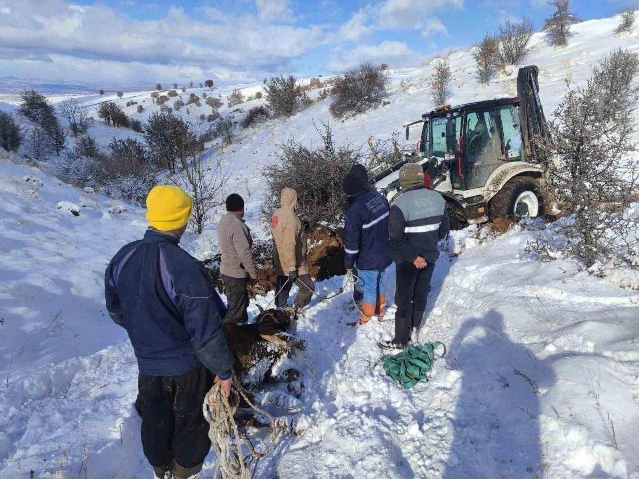 Dağda mahsur kalan hayvanlar kurtarıldı
