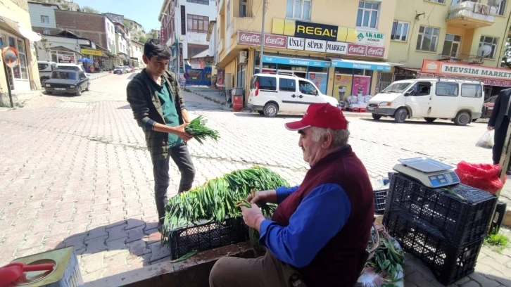 Dağdan topladıkları otlarla geçimlerini sağlıyorlar
