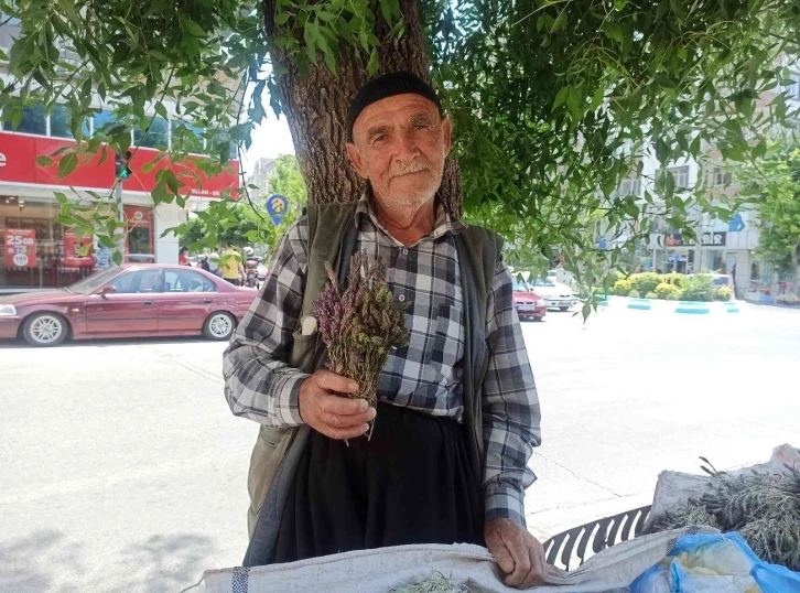 Dağlardan topladığı şifalı otlar geçim kaynağı oldu
