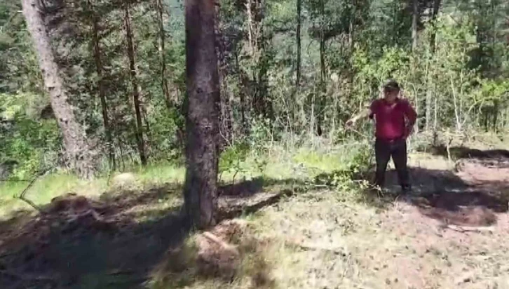 Damgasız ağaçları kestiği iddia edildi, "İstersen Valiyi çağır lan" dedi
