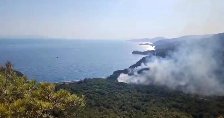 Datça’daki orman yangınıyla ilgili tutuklu sayısı 2’ye yükseldi
