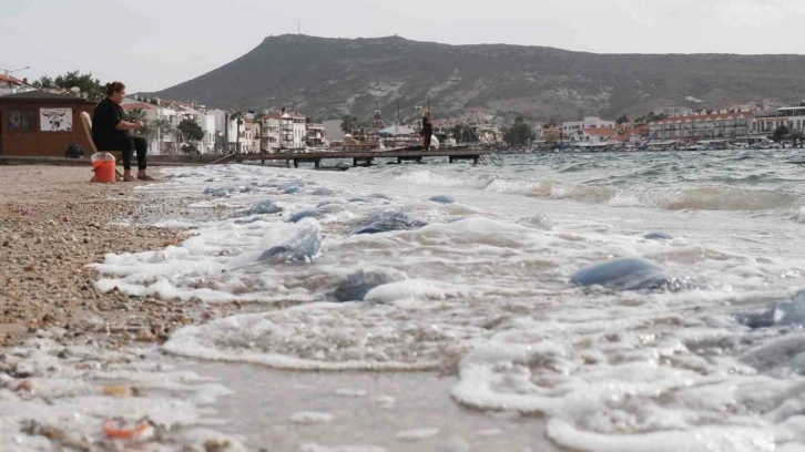 Denizanalarının Foça istilası havadan görüntülendi
