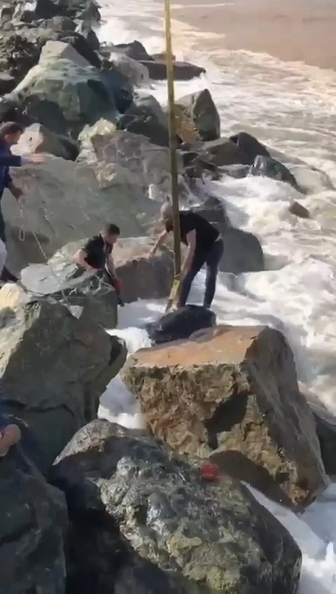 Denize düşen kurbanlık boğa vatandaşlar tarafından kurtarıldı
