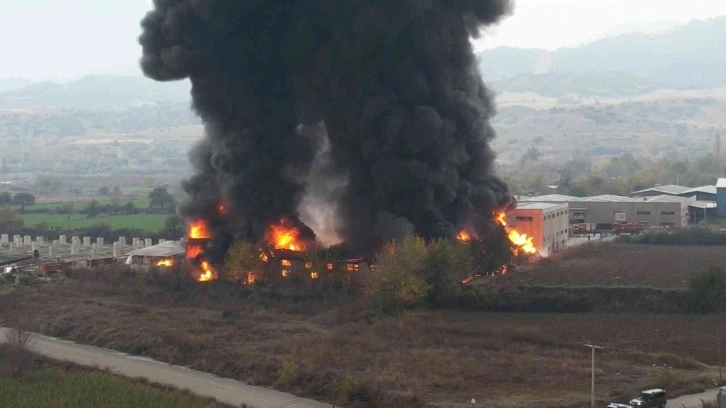 Denizli’de kimya fabrikasında yangın
