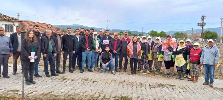 Denizli’de Salkım Güvesine Karşı Biyoteknik Mücadele Devam Ediyor