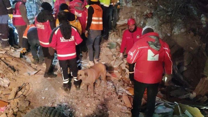 Deprem bölgesindeki köpek Kızılay ekiplerinin maskotu oldu
