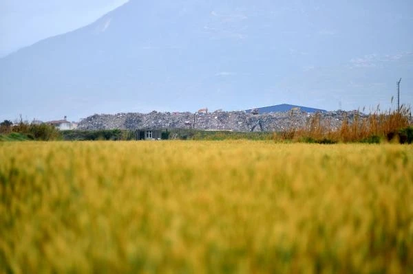 Deprem molozları, Milleyha Kuş Cenneti'ne 100 metre uzaklıktaki alanda dağ gibi oldu 