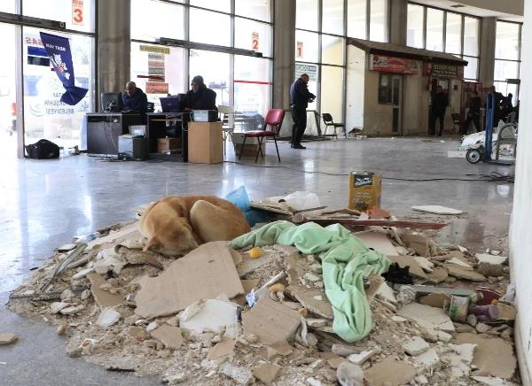 Depremde bazı bölümleri yıkılan Antakya Otogarı’nda zorlu mesai