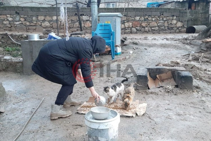 Depremden sonra sel vurdu ama o sokak kedilerini ihmal etmedi