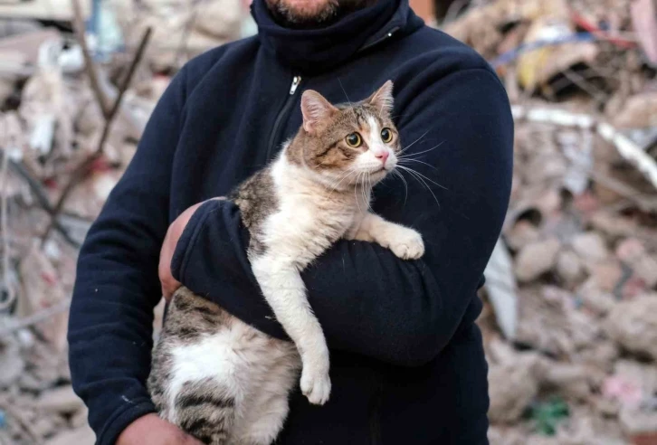 Depreminin 110’uncu saatinde bir kedi enkazdan canlı çıkartıldı
