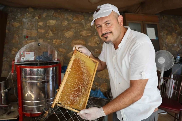 Depremzede arıcının yüzü bereketli geçen erken bal hasadıyla güldü
