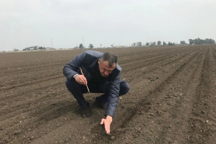 Depremzede çiftçiler üretmeye devam ediyor