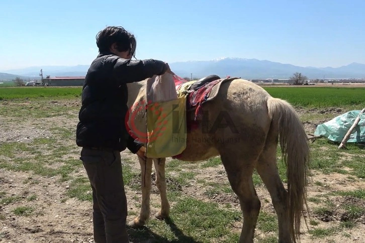 Depremzede genç, market alışverişine at ile gidiyor: Kanser hastası annesinin eli ayağı oluyor