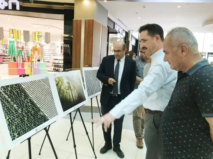 Dereceye giren fotoğraflar görücüye çıktı
