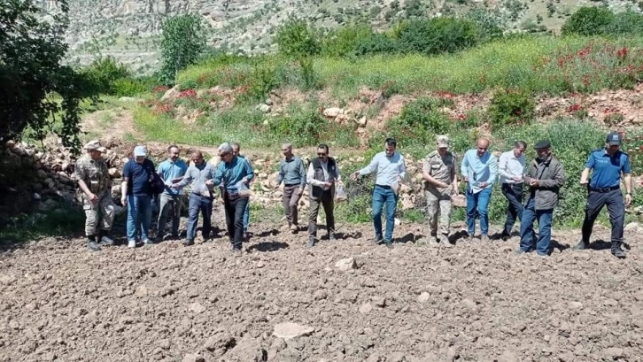 Devlet destek verdi Siirt’te susam ve çeltik ekimi yaygınlaştı
