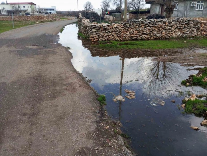 Dicle Kırsal Batur Mahallesi Eksiklikleri Giderilmeyi Bekliyor