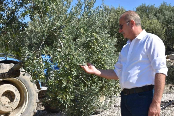 Didim Belediyesi Türkiye’de bir ilke imza attı
