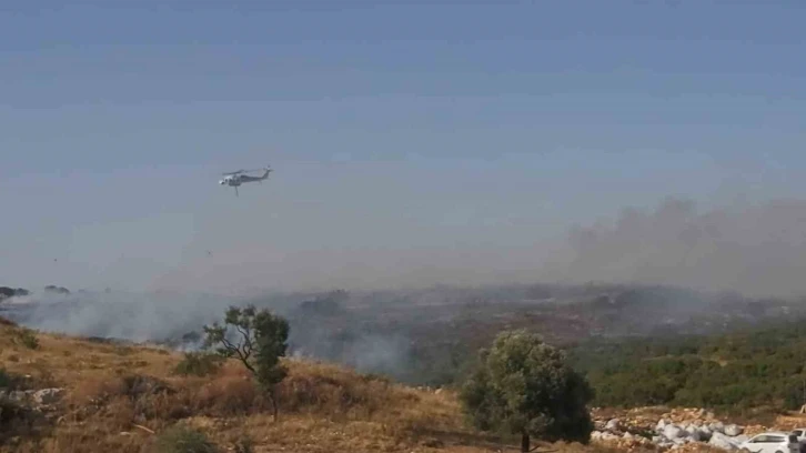 Didim’de makilik yangını
