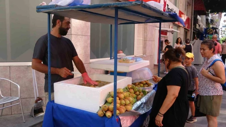 Dikenli incir tezgahlarda yerini aldı: Tanesi 10 lira
