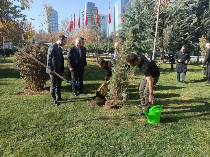 Dışişleri Bakanlığına 44 ağaç dikildi
