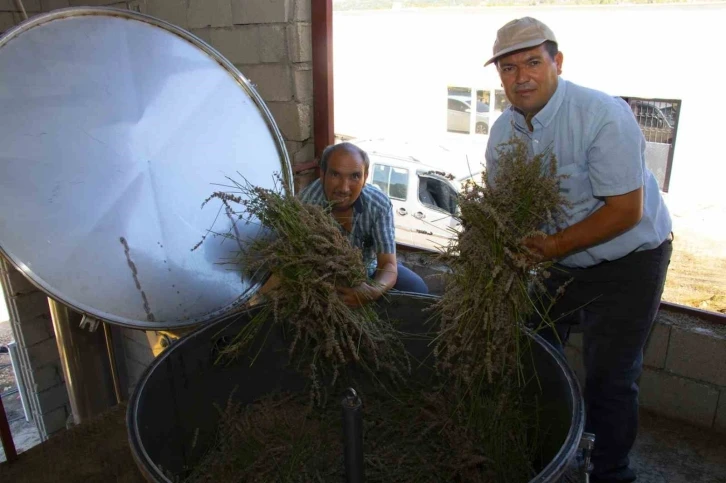 Distilasyon makinesi ile lavanta üreticileri zamandan tasarruf ediyor
