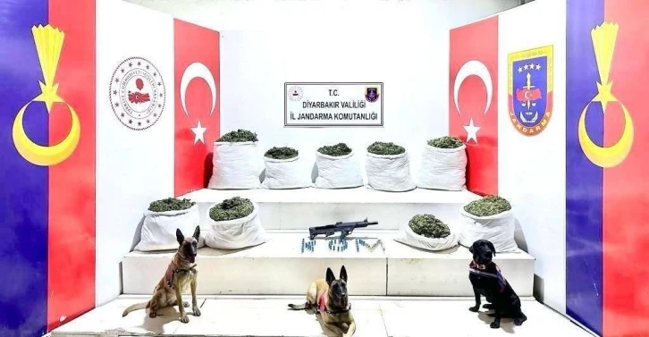 Diyarbakır’da 364,5 kilo uyuşturucu ile 150 bin kök skunk bitkisi ele geçirildi
