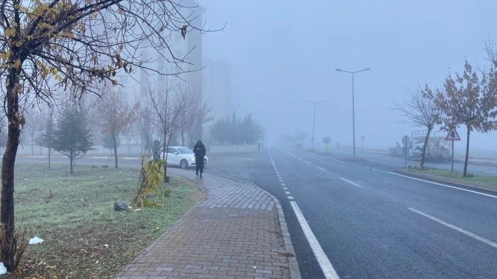 Diyarbakır’da 4 gündür etkili olan sis nedeniyle uçak seferleri iptal edildi
