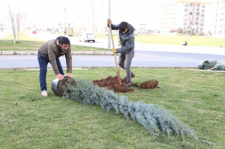 Diyarbakır’da ağaçlandırma çalışması
