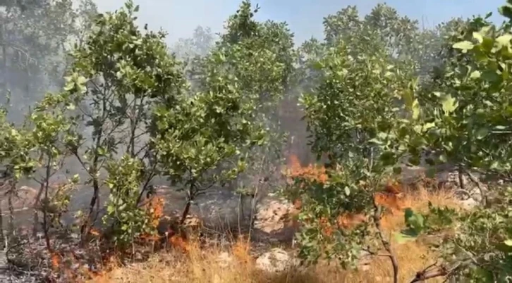 Diyarbakır’da çıkan örtü yangını 7 saat sonra kontrol altına alındı
