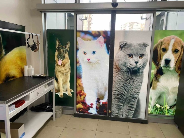Diyarbakır’da evcil hayvanlar için aşı ve çip uygulama odası açıldı
