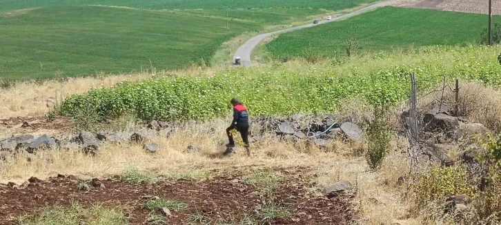 Diyarbakır’da kayıp 8 yaşındaki kız, iz takip köpeği ve dron desteğiyle aranıyor
