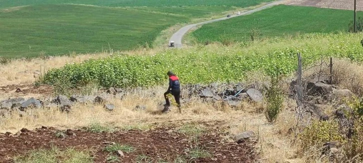 Diyarbakır’da kayıp 8 yaşındaki kız, iz takip köpeği ve dron desteğiyle aranıyor