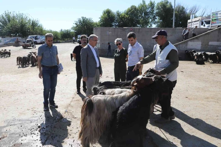 Diyarbakır’da kurbanlık satış ve kesim yerleri belirlendi
