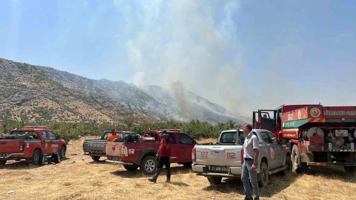 Diyarbakır’da orman yangını: Havadan ve karadan müdahale sürüyor
